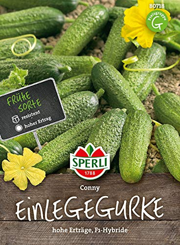 Sperli Einlegegurke 'Conny', F1 | hoher Ertrag | frühe Sorte | 1 Packung Samen