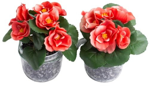 Botanic-Haus künstliche Frühlingsblume Mini-Begonie mit 5 Stielen im Glas (2 Stück) (orange-Creme)