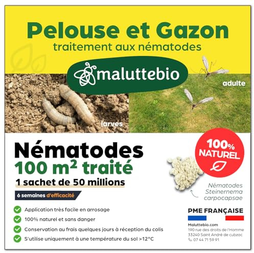 Nématodes pelouse et gazon - Traitement contre les larves de Tipules (vers gris ou Cousin) - 100% naturel. Traite les tâches jaunes du gazon (Pour 100m² (50 millions))