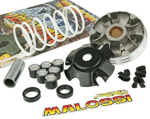 variomatik MALOSSI Multivar 2000 pour Gilera Runner 50 cc, Stalker, Storm, Typhoon x, Piaggio DIESIS | Galets 19x15,5 mm; compatible avec GILERA Storm, Typhoon X; compatible avec PIAGGIO Diesis; moteur Piaggio 50 cc 2T dès 1998.
