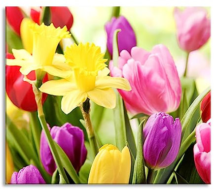 Pixxprint Campane pasquali e tulipani, piastra di copertura e paraspruzzi in vero vetro, per piani cottura, 60 x 52 cm