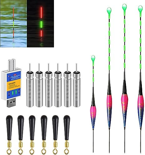 4 Stück Led Posen Angeln Mit Bissanzeiger, Posen Angeln Mit Gravity Sensing Und Basis, Angel Zubehör Zum Tauchgebiet Angeln Am See, Fluss Oder Teich. (4-teiliges Set)