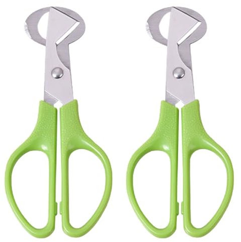 Kopida Modern Stainless Steel Quail Egg Scissors, Egg Opener, Green