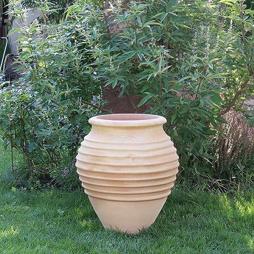 Kreta Keramik Palatina verkstad, handgjord terrakotta amfore, frostbeständig och hög kvalitet, 45 cm, fantastisk blickfång dekoration utomhus, trädgård, hus, ficus