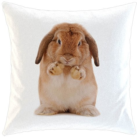 Kissen/weiches Kuschelkissen mit Füllung 40x40cm - Motiv: Kaninchen braun putzt sich| 017