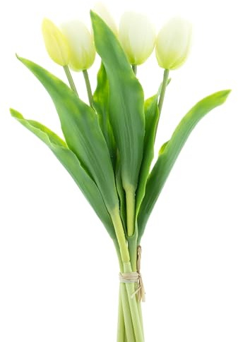 mucplants künstliche Tulpen Holland ca. 36cm Tulpenbündel mit 3 Tulpen und 2 Tulpenknospen real Touch (Creme-weiß)