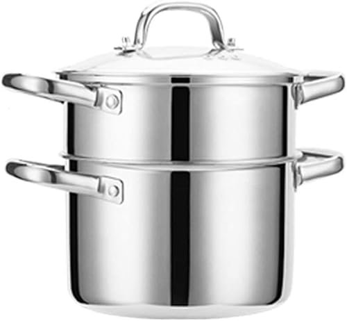 ANSNOW Olla de Vapor para Cocinar de Acero Inoxidable, Miniolla de Sopa Pequeña de Gas Espesado para el Hogar, Vaporera Pequeña
