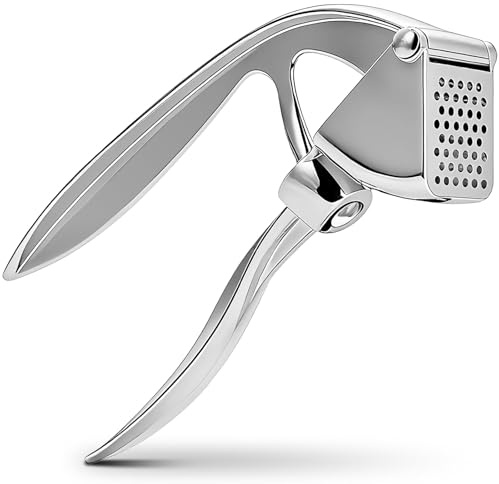 2 en 1 Presse ail inox et dénoyauteur à cerises,Presse-ail avec ecrase ail efficace,hachoir ail manuel,garlic press rocker facile à utiliser,compatible lave-vaisselle,avec denoyauteur cerise et olives