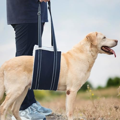 CINY Imbracatura di sollevamento per cani di media taglia regolabile, Riabilitazione Petto Schiena Viaggio all'aperto Corda di trazione ausiliaria, per zampe posteriori deboli