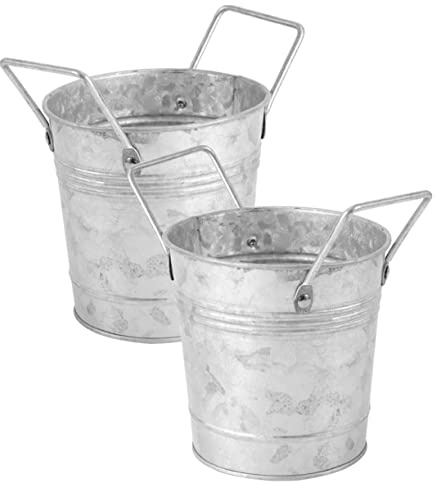 GALPADA 2 pièces Seau Galvanisé Rétro avec Poignées Robustes Pot de Fleurs Décoratif pour Intérieur et Extérieur Support Plante Balcon et Maison