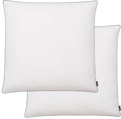 vidaXL Kissen 2 STK. Daunen-/Federnfüllung Schwer 80x80 cm Weiß