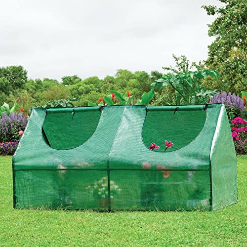 STREND PRO kleines Gewächshaus 180 x 90 x 90 cm für optimales Pflanzenwachstum, Mini-Gewächshaus, inklusive Gartengewächshausfolie, grüne Gewächshausfolie, winterfestes Tomatengewächshaus, Frühbeet