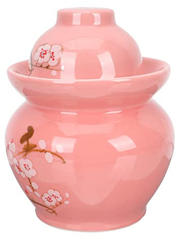 Vasi per la fermentazione, Barattolo di fermentazione in ceramica for vasetto di fermentazione Barattolo di fermentazione tradizionale con coperchio a tenuta d'acqua Contenitori Kimchi for marinare i