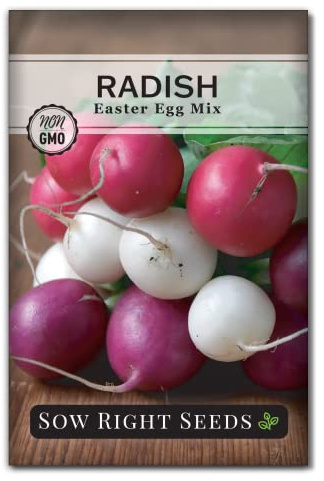 Sow Right Seeds - Easter Egg Mix Radish Seed for Planting - Non-GMO Heirloom Packet with Instructions to Grow an Outdoor Home Vegetable Garden - Multi Color, Fast Growing - Red, Purple, and White (1)