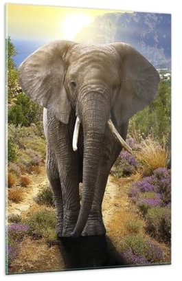 Wandbilder Dekoration Wohnzimmer Tiere Afrika Elefanten Spaziergang Bilder auf Glas 80x120cm Glasbild Schlafzimmer Küche Deko Wand Kunstdruck Art Groß XXL Wanddeko Bild im Glas Modern GPA80x120-2708