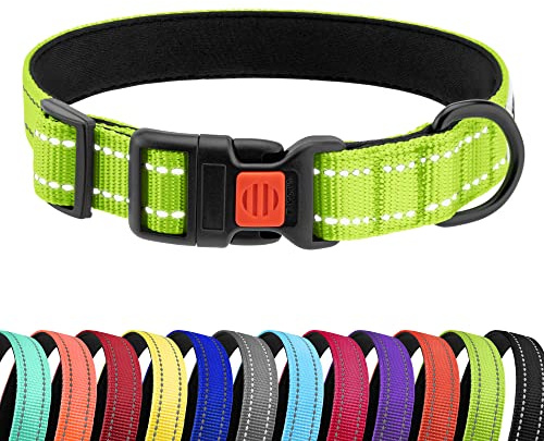 CollarDirect Reflektierendes Hundehalsband für kleinen, mittelgroßen, großen Hund, Welpen mit Schnellverschluss, Hündin, Rüde, 48 Sorten, Nylon Wasserfest