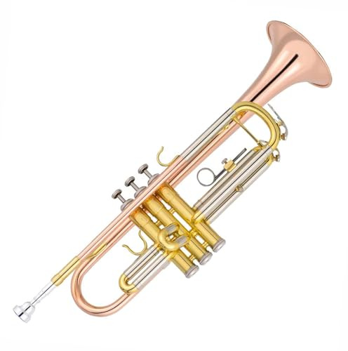 B-Trompete Blasinstrument Einstieg Profi Lack Gold Korpus Phosphorbronze Tragbar