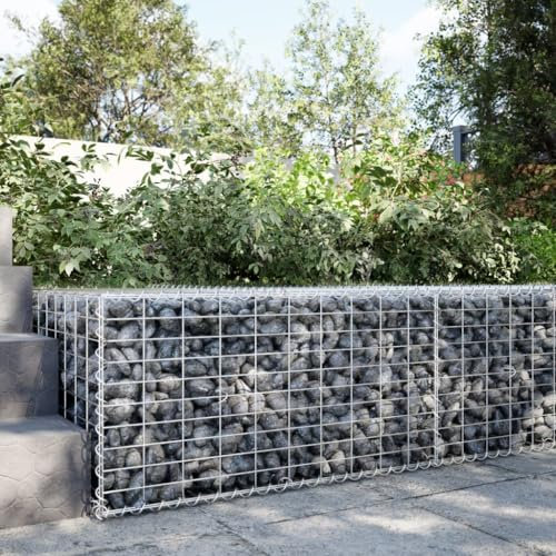 Tidyard Panier Gabion avec Couvercle 100x100x50 cm Fer galvanisé, Mur à Gabion Clôture en Maille, Panier de Gabion pour Jardin, Terrasse, Arrière-Cour, Extérieur