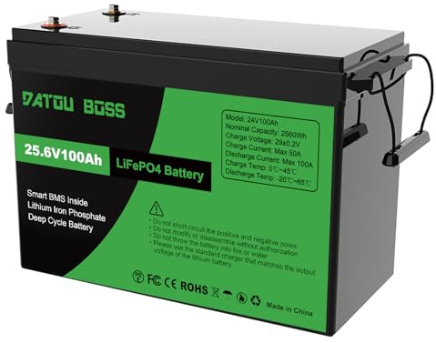 DATOUBOSS 24V 100Ah LiFePO4 Batterie, 8000-15000 Zyklen Deep Cycle Lithium Akku, Max. Ausgangsleistung 2560W, 100A BMS, Unterstützung in Serie/Parallelschaltung, für Wohnmobil, Solar Home System
