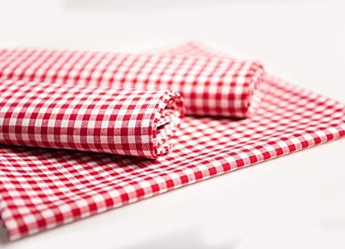 texpot 4 Stück Tischset Größe 33 x 45 cm rot-weiß 5 mm Karo Platzset aus 100% Baumwolle im Landhaus-Stil