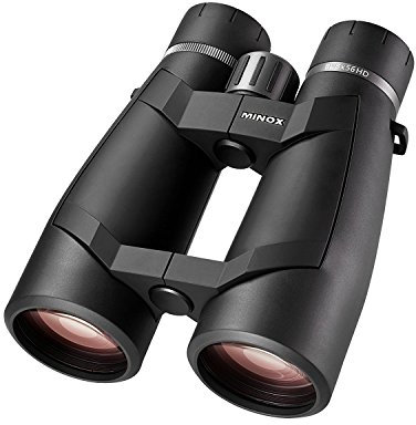 MINOX BL HD 8x56 Fernglas mit Komfortbrücke – Hochleistungs-Fernglas - auch für Nachtbeobachtung und Nachtansitz – Inkl. Neopren-Trageriemen, Bereitschaftstasche, Objektiv- & Okularschutzdeckel