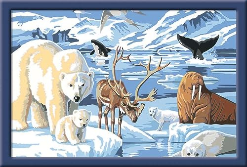 Ravensburger CreArt Tiere der Arktis - Malen nach Zahlen ab 11 Jahre | Malset mit Rahmen, Pinsel und Acrylfarben, Geschenk für Mädchen und Jungen
