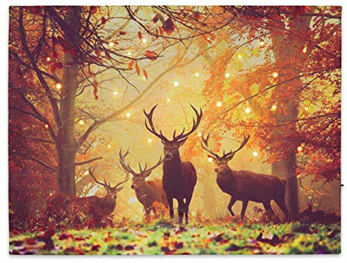 Nexos Trading LED Wandbild Leinwandbild mit Beleuchtung Fotodruck Hirsch 30x40 cm Kunstdruck Leuchtbild Effekt-LED Herbst-Dekoration Hirschrudel Mischwald Jäger Heimat