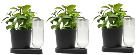 greevi kräuterheld 3er Set | Kräutertöpfe mit Selbstbewässerungssystem | Made in Germany | Kunststoff (Bio-Kunststoff, anthrazit)