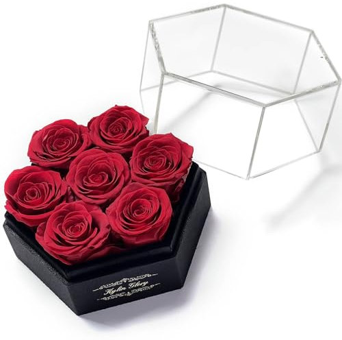 Kylin Glory Konservierte Rosen mit sechseckiger Acrylabdeckung – 7 Stück Forever Blumen, sichtbare Frische, perfekt für Mütter & Valentinstagsgeschenke (Rot)
