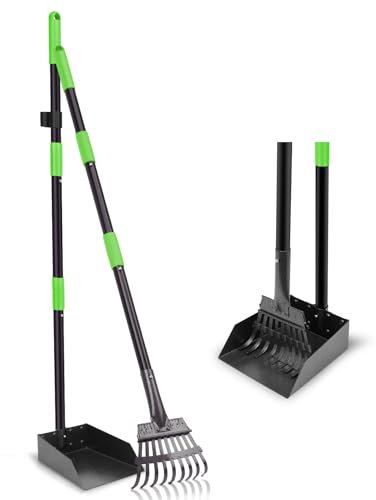 twocorn Nicht zerbrechliche Kotschaufel, Hundekotschaufel und Rechen Set mit verstellbarem Edelstahl-Langgriff für große, mittelgroße und kleine Hunde (Grün)