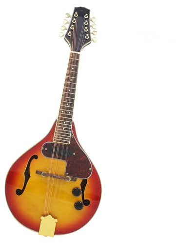 Mandoline Cordes Instrument Mandoline Électrique Instrument De Musique Mandoline EQ Mandoline Instrument À Huit Cordes Magnifique