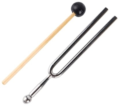 440 Hz Stimmgabel aus Edelstahl für Gitarre und Bratsche | A Ton, Feste Frequenz, Klein und Präzise, für Lehrer und Musiker Unterwegs zu Hause Zufällige Farbe