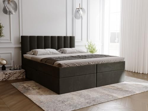 GRAINGOLD Mocca Lit 200x200, Boxspring avec Coffre de Rangement, Rembourré avec Matelas à Ressorts Bonell, Lit Double, Tissu en Velours, avec Surmatelas, avec Tête de Lit (Gris foncé, 200x200)