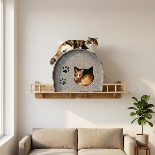 Grande cuccia da parete per gatti con design chiuso, mensola galleggiante in legno per arrampicarsi e dormire, accogliente casetta per gatti, salvaspazio, per gatti da interni