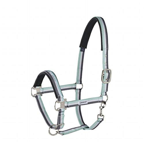 Eskadron Standard Halfter PIN Buckle