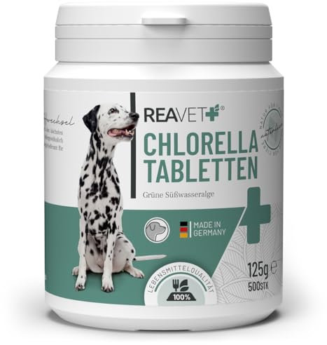 ReaVET Chlorella Tabletten für Hunde 500 Stück – Hochdosiert in Lebensmittelqualität, Mikroalge unterstützt Haut & Fell, Chlorella Algen Tabletten viel Protein