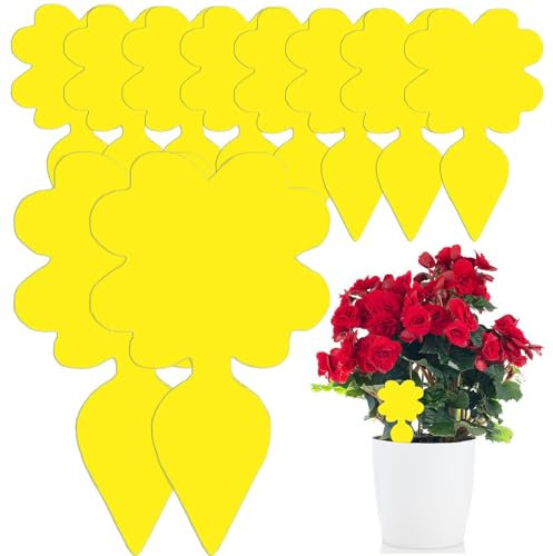 Fruit Fly Trap, 20 Pack Sticky Fly Trap for Indoor Plants, Double-sided Waterproof Fungus Gnat Sticky Traps, Yellow
