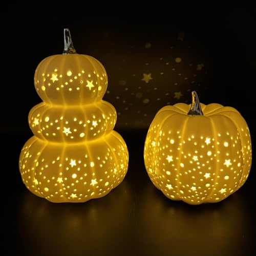 Online Fuchs 2 Kürbisse aus Keramik mit LED-Beleuchtung und 6-Stunden Timer - Deko für Herbst und Winter - Warmweiß oder Farbwechsel wählbar – Stimmungslichter