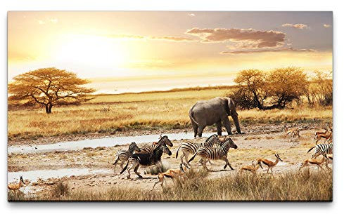 Paul Sinus Art Bilder XXL Landschaft Afrika 120x70cm Wandbild auf Leinwand