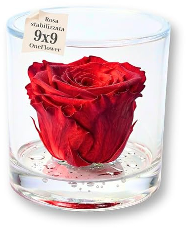 Premium-rose.com Box Tondo con Rosa Rossa stabilizzata Profumata, Box Trasparente da 9cm con Rosa Rossa Vera Eterna|Idea Regalo Natale,Fidanzata,Compleanno,Laurea |Fatto in Italia(Rossa 1040)