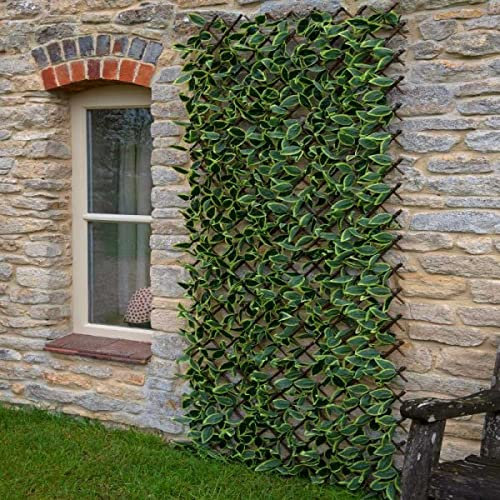 Garden Mile Leaf Trellis Panel Fence Privacy Screen for Garden Artificial Trellis Living Wall Panel Flower Expandable Trellis Privacy Fence Screening (Hosta, Medium)