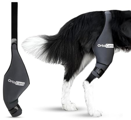 Ortocanis - Kniebandage Hund Hinterbein für das Linke Bein - Hergestellt aus Neopren ARD - Bei Kreuzbandriss, Bänderverletzungen, Patellaluxation oder Osteoarthritis - Größe Small (9,5-11)