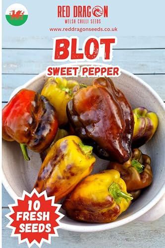 Blot Sweet Pepper Seeds - 10 Fresh Blot Sweet Pepper Seeds