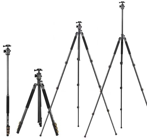 Aumotop Treppiede Monopiede Staccabile TTT-004, Testa a Sfera con Montaggio Orizzontale da 200 Cm/78,7 Pollici, Luce Regolabile per Fotocamere DSLR ILDC (Oro #03)