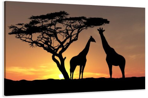 Visario Leinwandbild Afrika Giraffe — stimmungsvolles Wandbild Tiermotiv auf Leinwand fertig gerahmt — 120x80 cm 5034