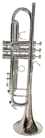 Trompette Trompette BB Joueur Professionnel Instrument En Laiton Trompette Avec Sac De Transport(Nickel)