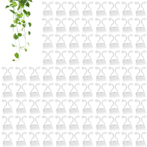Clip Per Fissaggio A Parete Per Piante Rampicanti, Clip Per Parete Per Piante Pothos | Ganci Per Fissare Le Piante,Clip Adesive Fissate 100X Per Viti Per Piante Da Parete Per Ganci Per Piante Da Paret