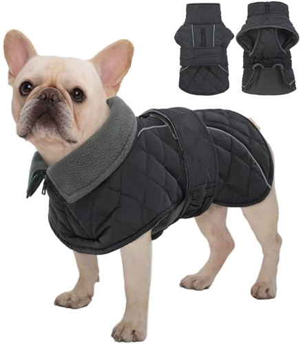 Kuoser Cappotto invernale per cani di taglia media, giacca per cani calda impermeabile con foro per guinzaglio con cerniera, dolcevita in pile, cappotto invernale per cani, grigio scuro, M