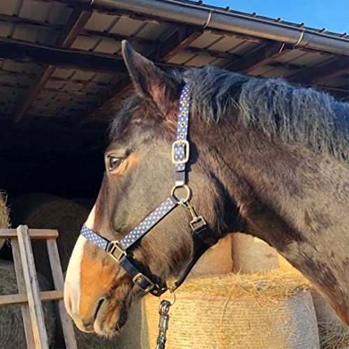 Halfter für Pferde Pferdehalfter stylisches Halfter blau, 2-Fach verstellbare Dornschnallen, Shetty, Pony, Cob, Warmblut (Pony, Blaue Dreiecke)