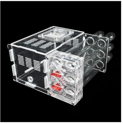 6 Reagenzglas Ameisennest DIY Ökologische Ameisenfarm Acryl Ameisenhaus Schloss mit Futterbereich Haustier Ameisenhaufen Werkstatt Cience Pädagogisch (Farbe: Gewöhnliche Röhre-A)